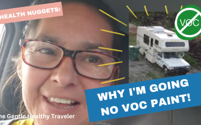 Health Nuggets: Why I’m Going No VOC Paint