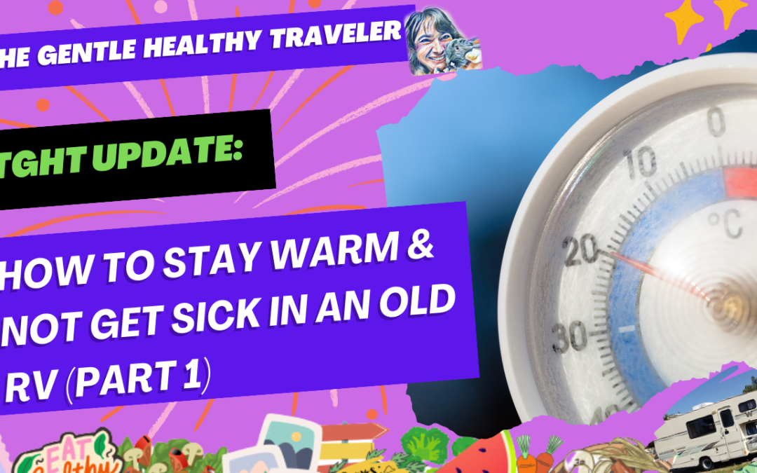 TGHT UPDATE: HOW TO STAY WARM & NOT GET SICK IN AN OLD RV (PART 1)